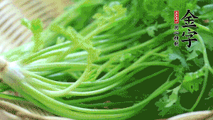 挑選鮮嫩的香菜，洗干凈后，處理成小段。